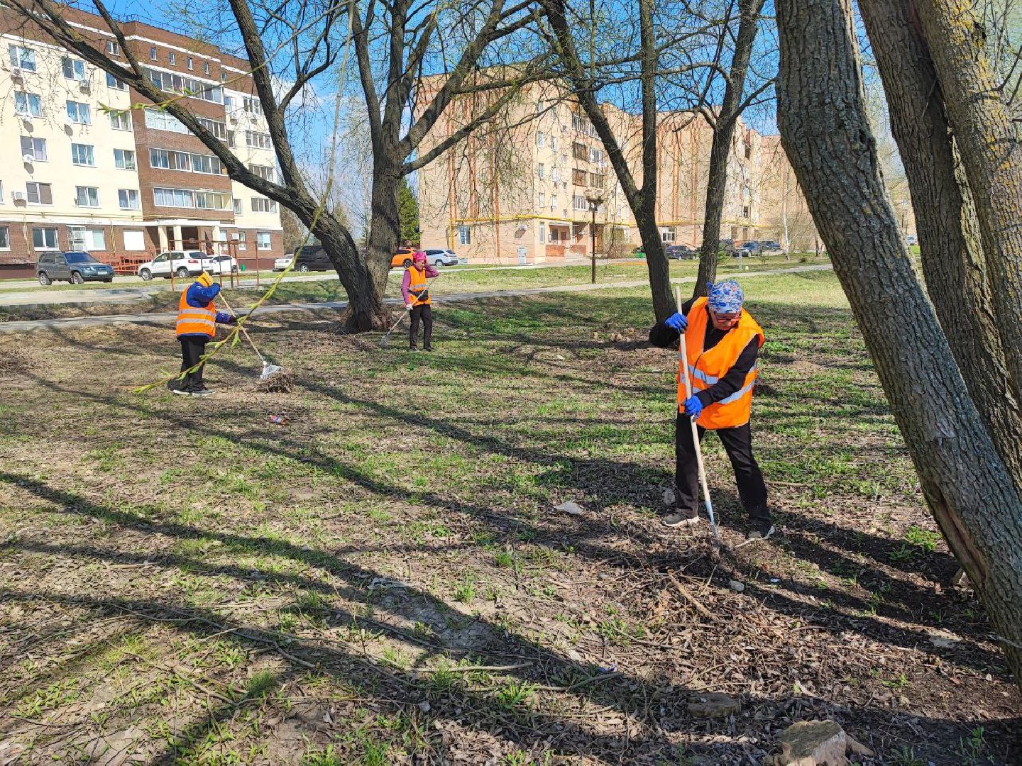 благоустройство, Серебряные Пруды