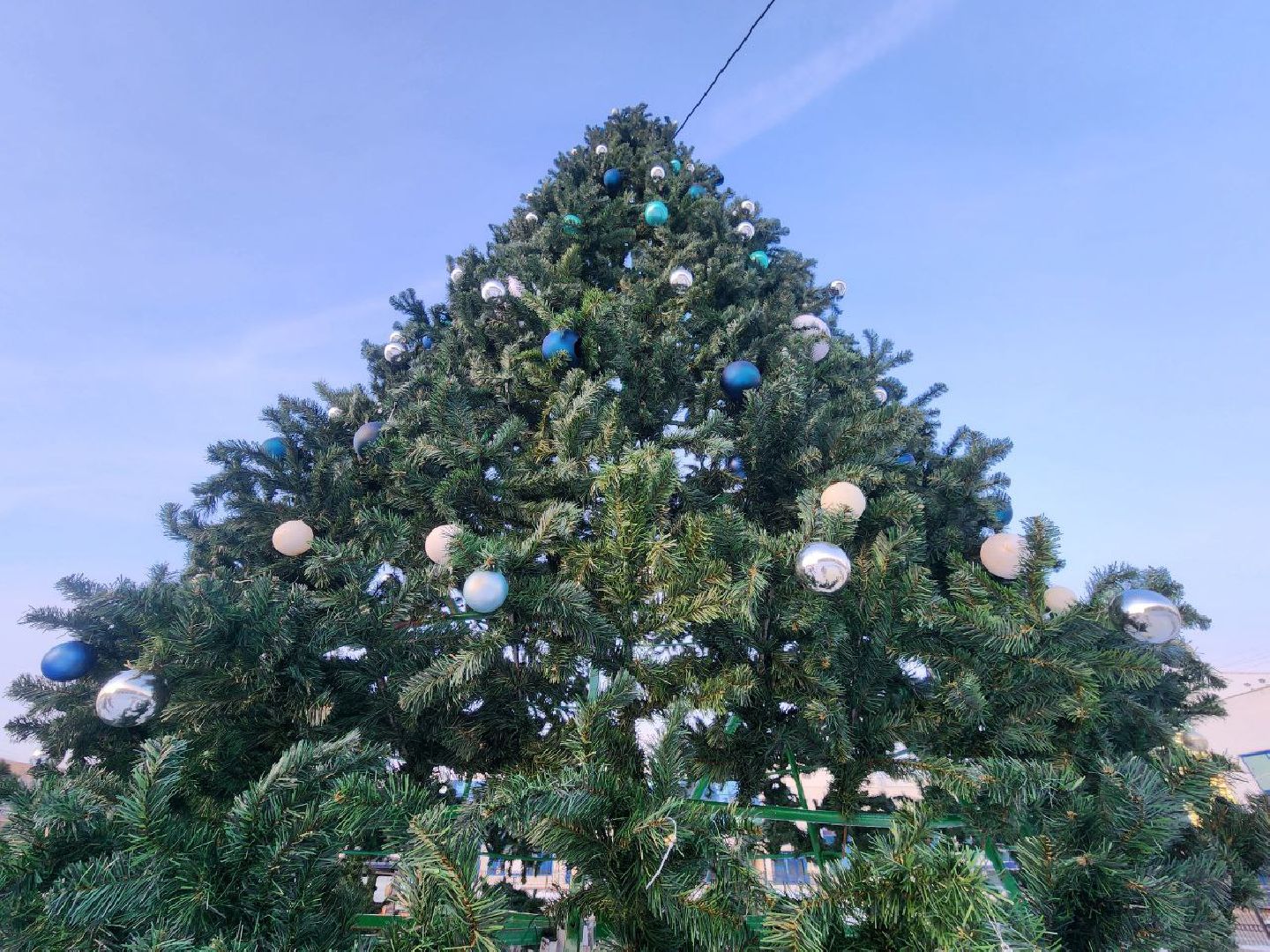 можайск, можайский городской округ, подмосковье, новый год, благоустройство, украшение округа, новогоднее оформление, новогодние елки, праздник, новогодние каникулы, вертикалки,