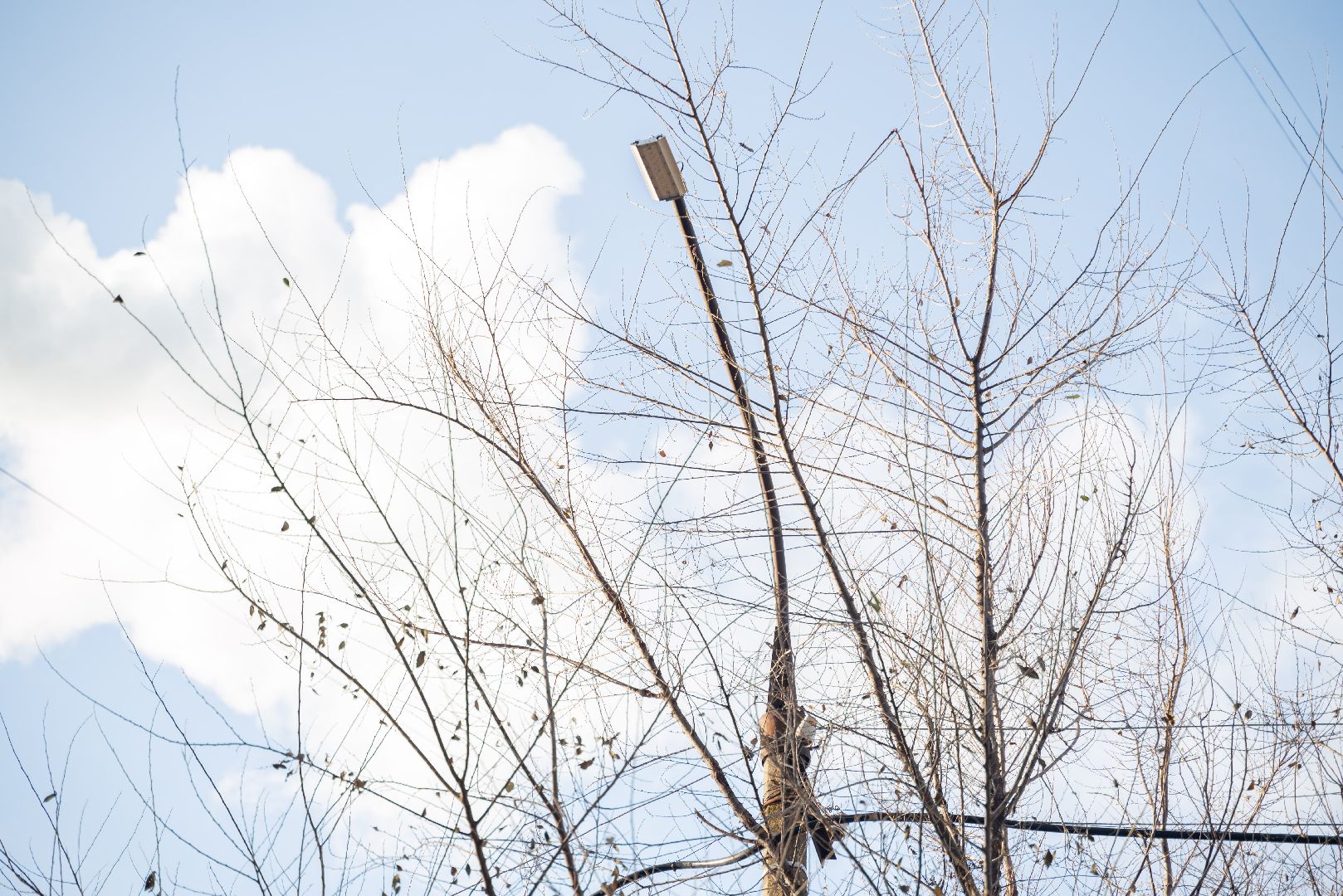 лыткарино, выездная администрация, фонари,