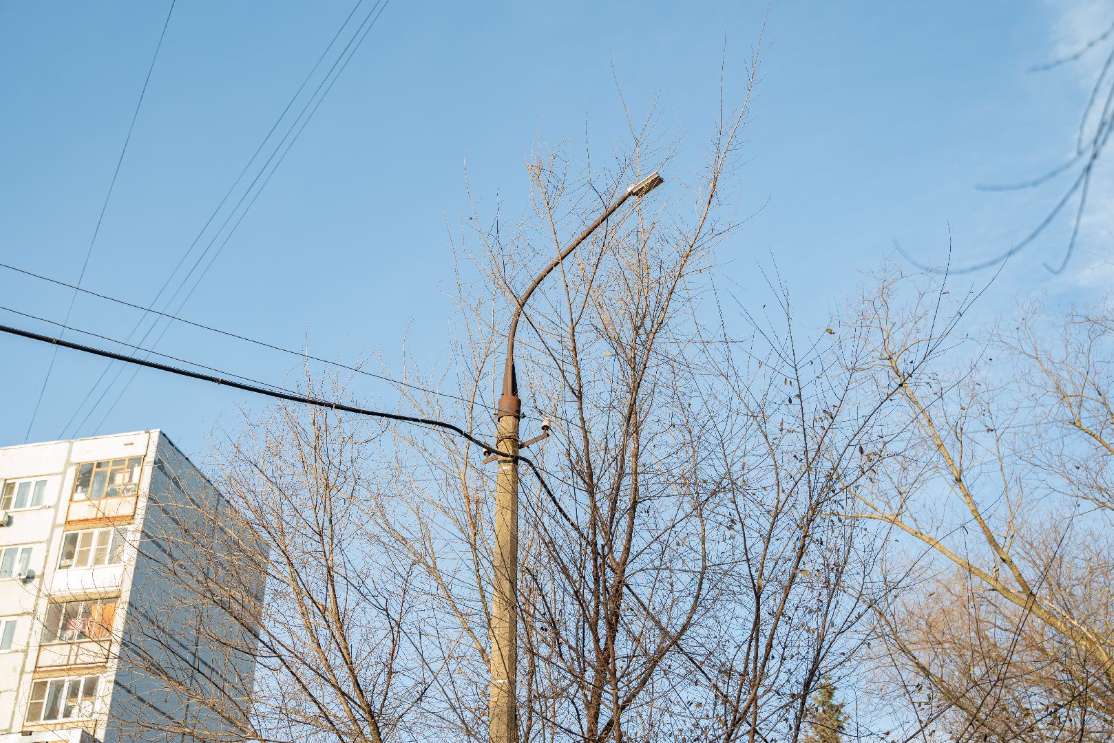 лыткарино, выездная администрация, фонари,