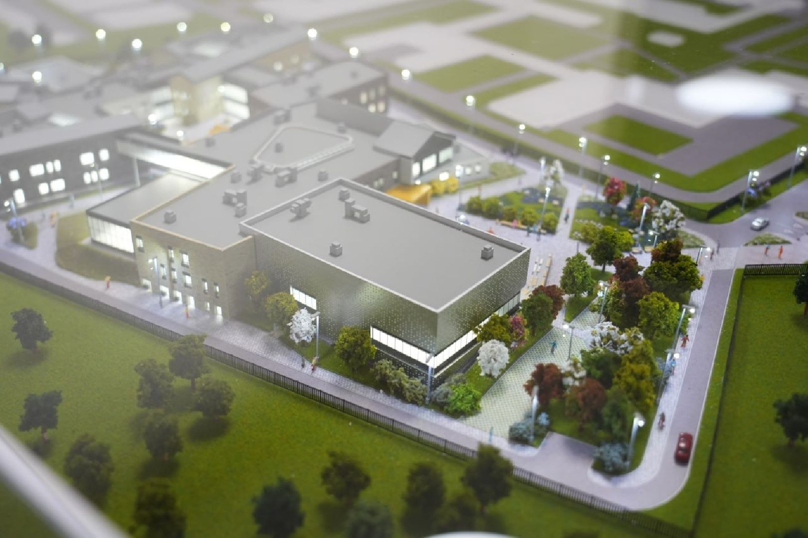 Волонтеры, Реабилитация, ОВЗ, Медицина, Социализация, Центр постинтернатного сопровождения молодых слепоглухих инвалидов, Сергиев Посад,