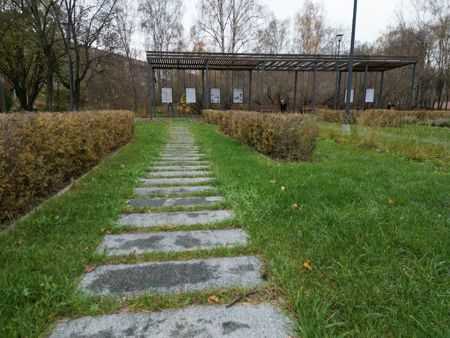 видео с коптера, черноголовка, благоустройство,