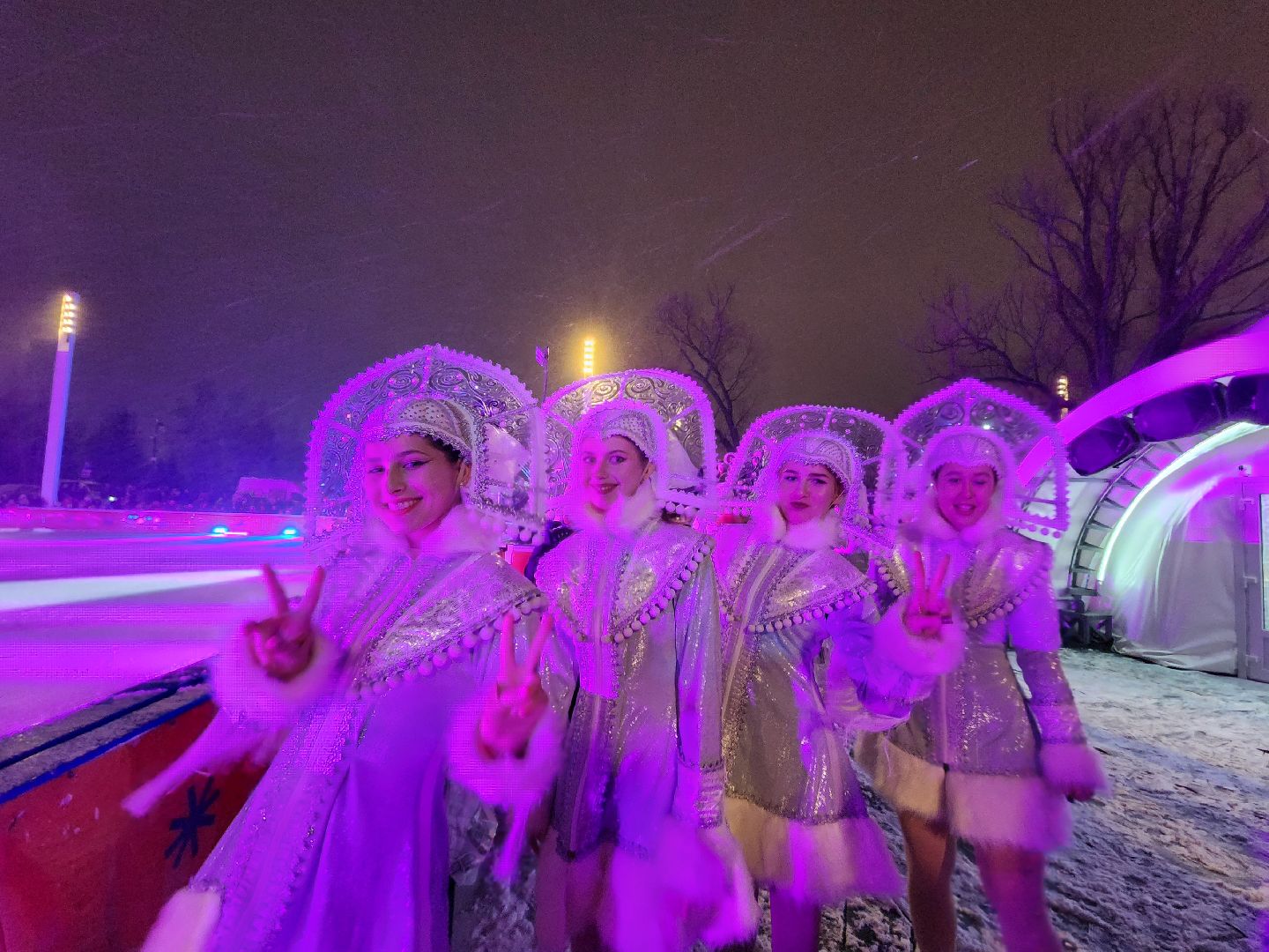 вертикалки, шоу на льду, мытищи,