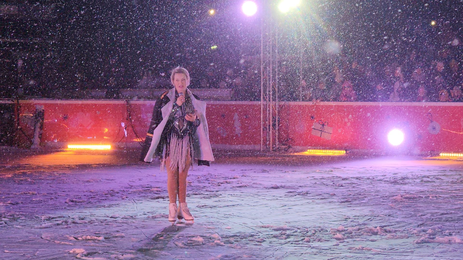 вертикалки, шоу на льду, мытищи,