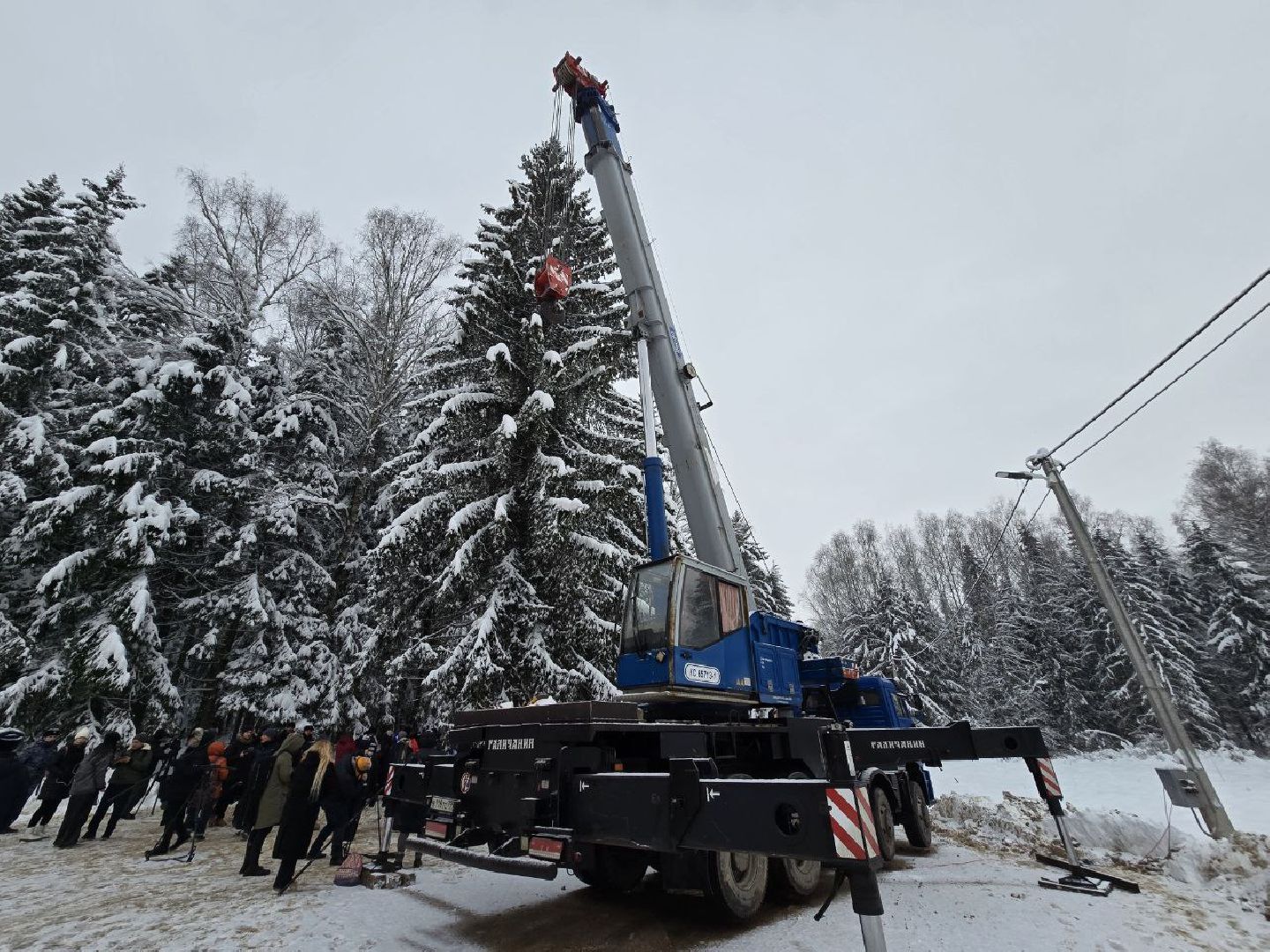 можайск, можайский городской округ, подмосковье, кремлевская ель, главное дерево страны, праздник, соборная площадь, новый год, новогодние праздники, вертикалки,