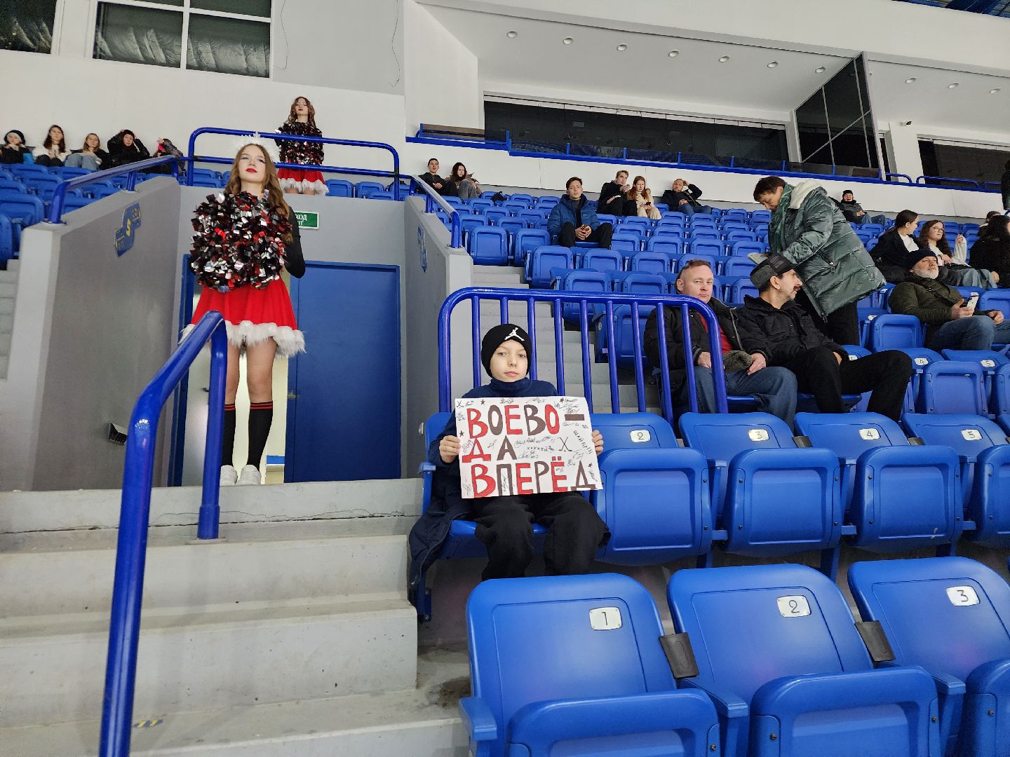 подольск, спорт, хоккей, витязь,