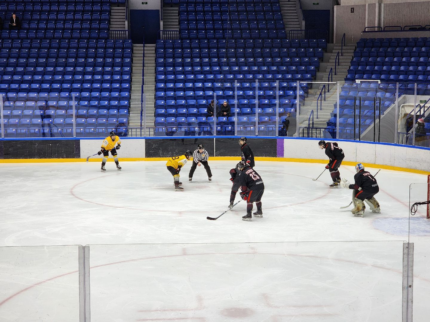 подольск, спорт, хоккей, витязь,