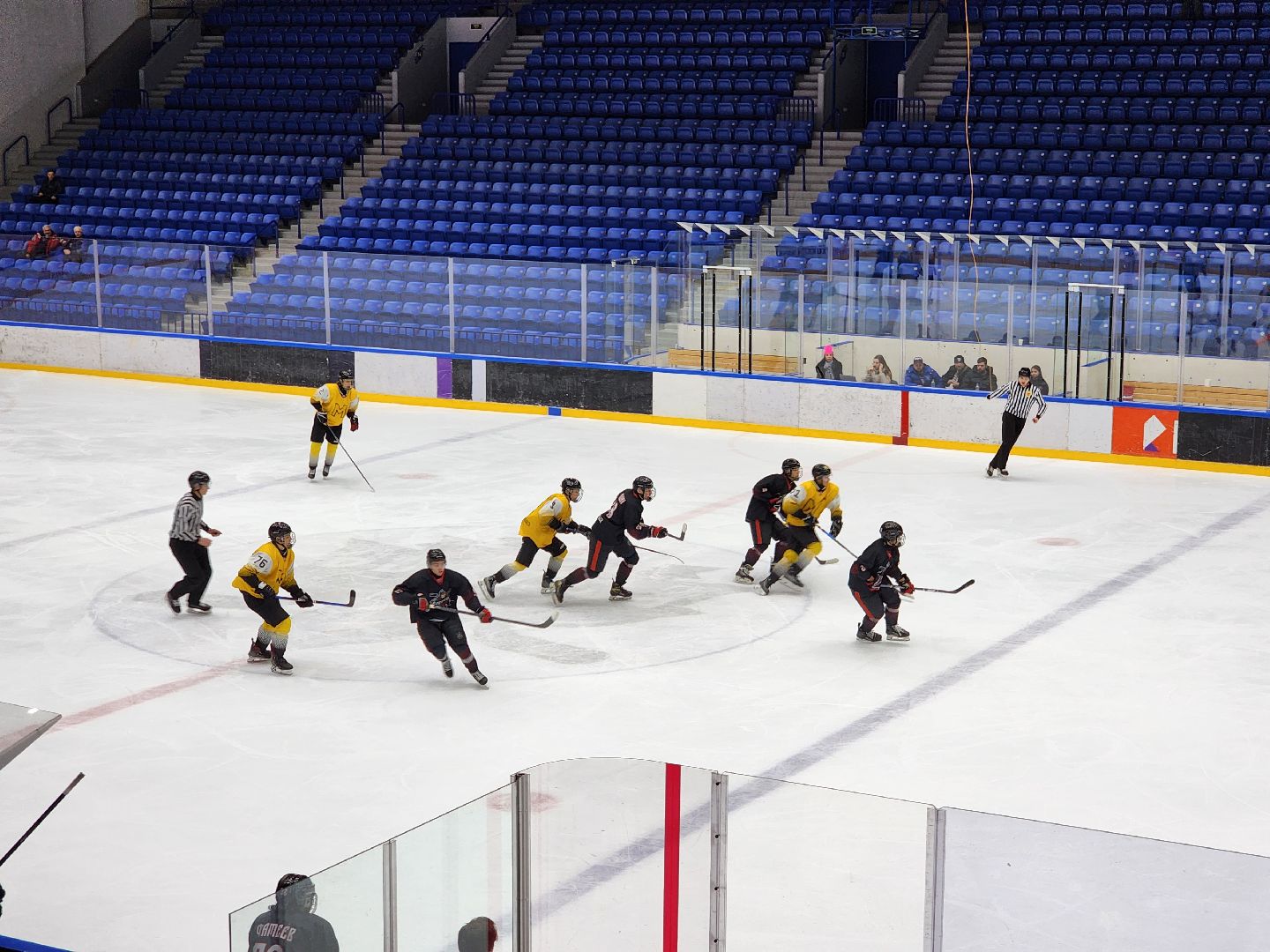 подольск, спорт, хоккей, витязь,