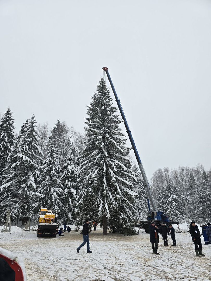можайск, можайский городской округ, подмосковье, главная елка страны, новый год, праздник, кремль, соборная площадь, спил главной елки страны, московский кремль, вертикалки,