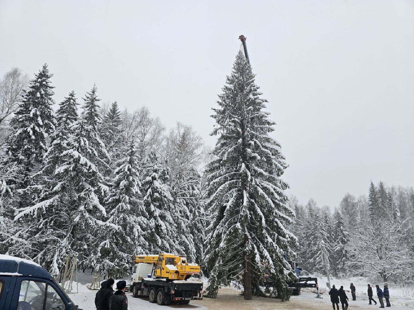 можайск, можайский городской округ, подмосковье, главная елка страны, новый год, праздник, кремль, соборная площадь, спил главной елки страны, московский кремль, вертикалки,
