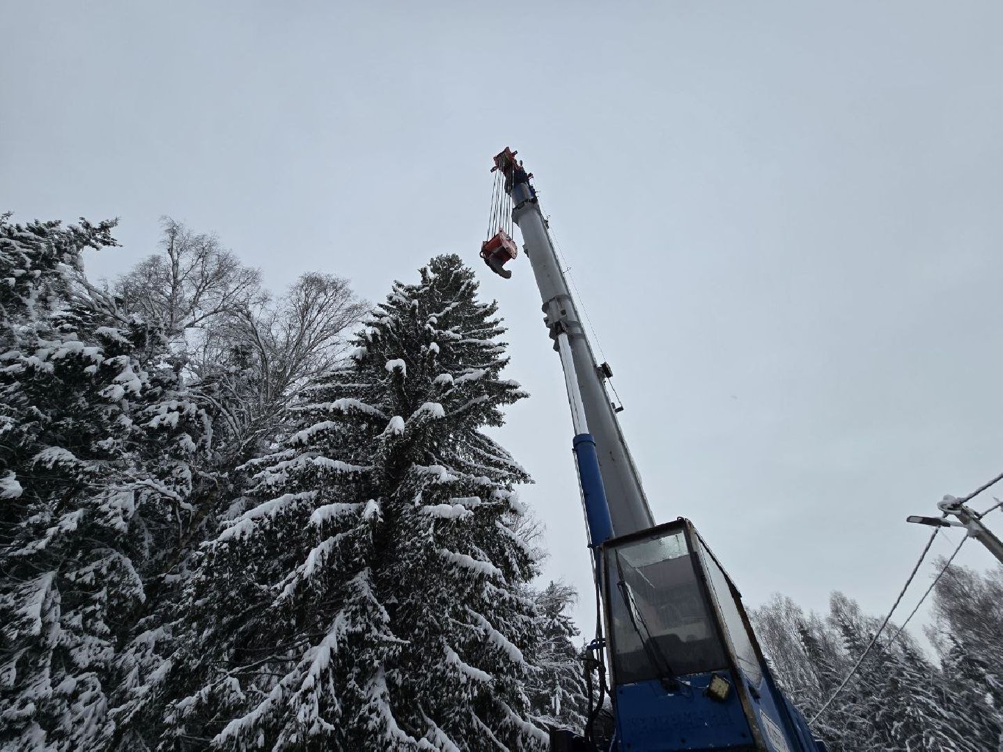 можайск, можайский городской округ, подмосковье, главная елка страны, новый год, праздник, кремль, соборная площадь, спил главной елки страны, московский кремль, вертикалки,