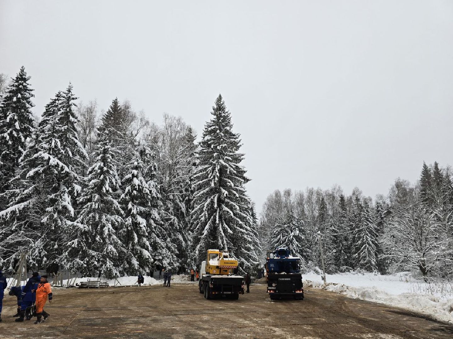 можайск, можайский городской округ, подмосковье, главная елка страны, новый год, праздник, кремль, соборная площадь, спил главной елки страны, московский кремль, вертикалки,