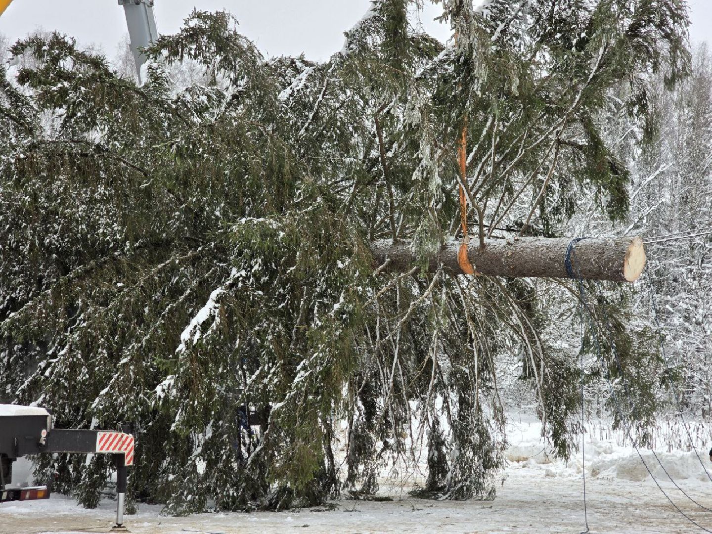можайск, можайский городской округ, подмосковье, главная елка страны, новый год, праздник, кремль, соборная площадь, спил главной елки страны, московский кремль, вертикалки,