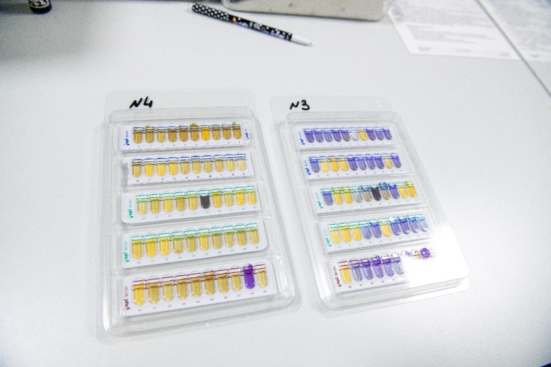 бизнес, закваска, Лыткарино, завод