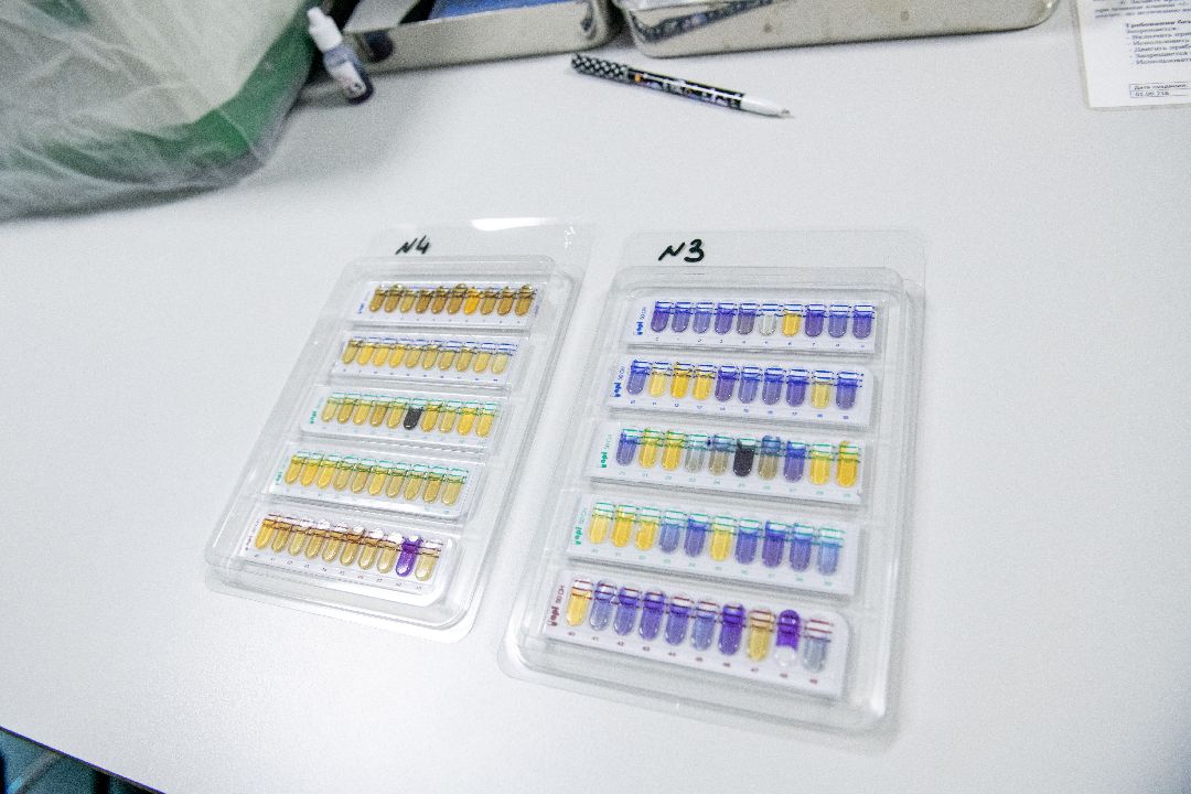 бизнес, закваска, Лыткарино, завод