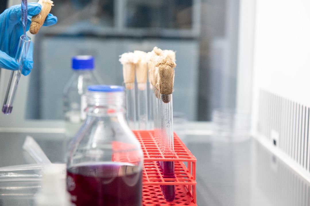 бизнес, закваска, Лыткарино, завод