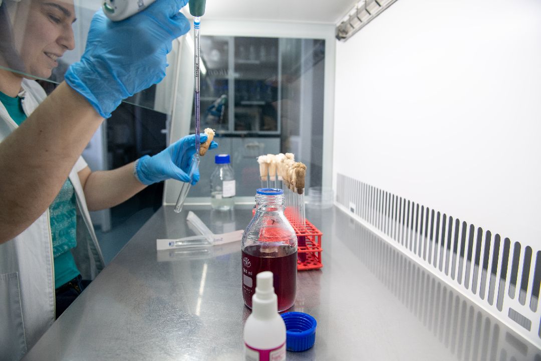 бизнес, закваска, Лыткарино, завод