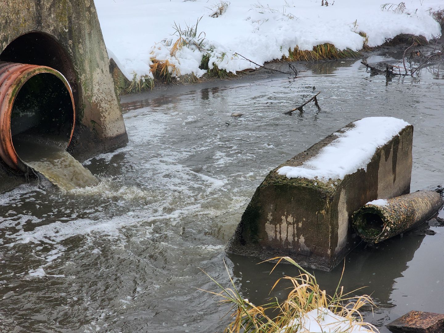 одинцово, росприроднадзор, одинцовская теплосеть, ктт-дубки, эклогия, очистные сооружения, река, ликова, вертикальное видео, вертикалка
