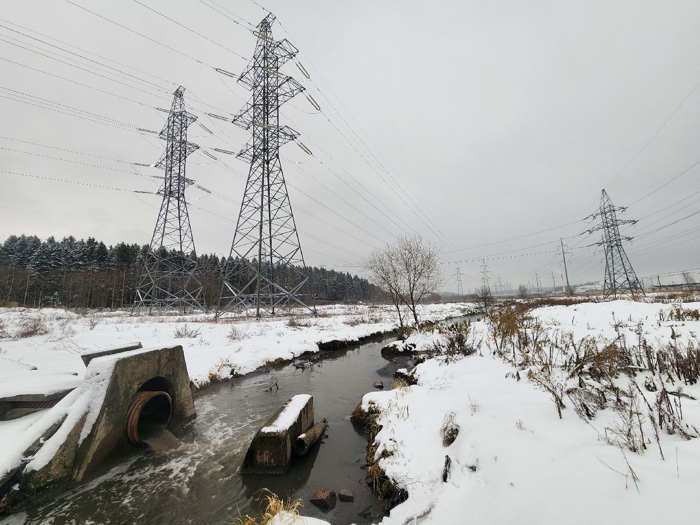 одинцово, росприроднадзор, одинцовская теплосеть, ктт-дубки, эклогия, очистные сооружения, река, ликова, вертикальное видео, вертикалка