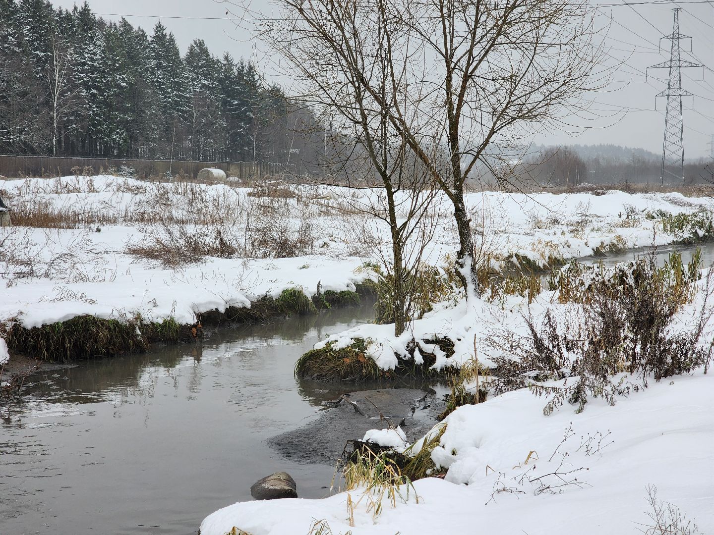 одинцово, росприроднадзор, одинцовская теплосеть, ктт-дубки, эклогия, очистные сооружения, река, ликова, вертикальное видео, вертикалка