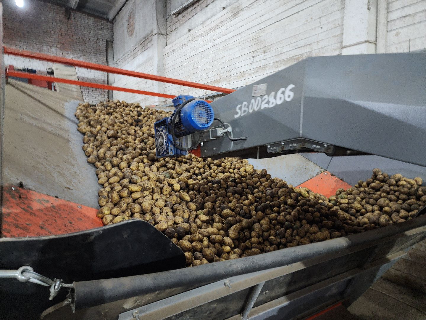 луховицы, сельское хозяйство, вертикалка,