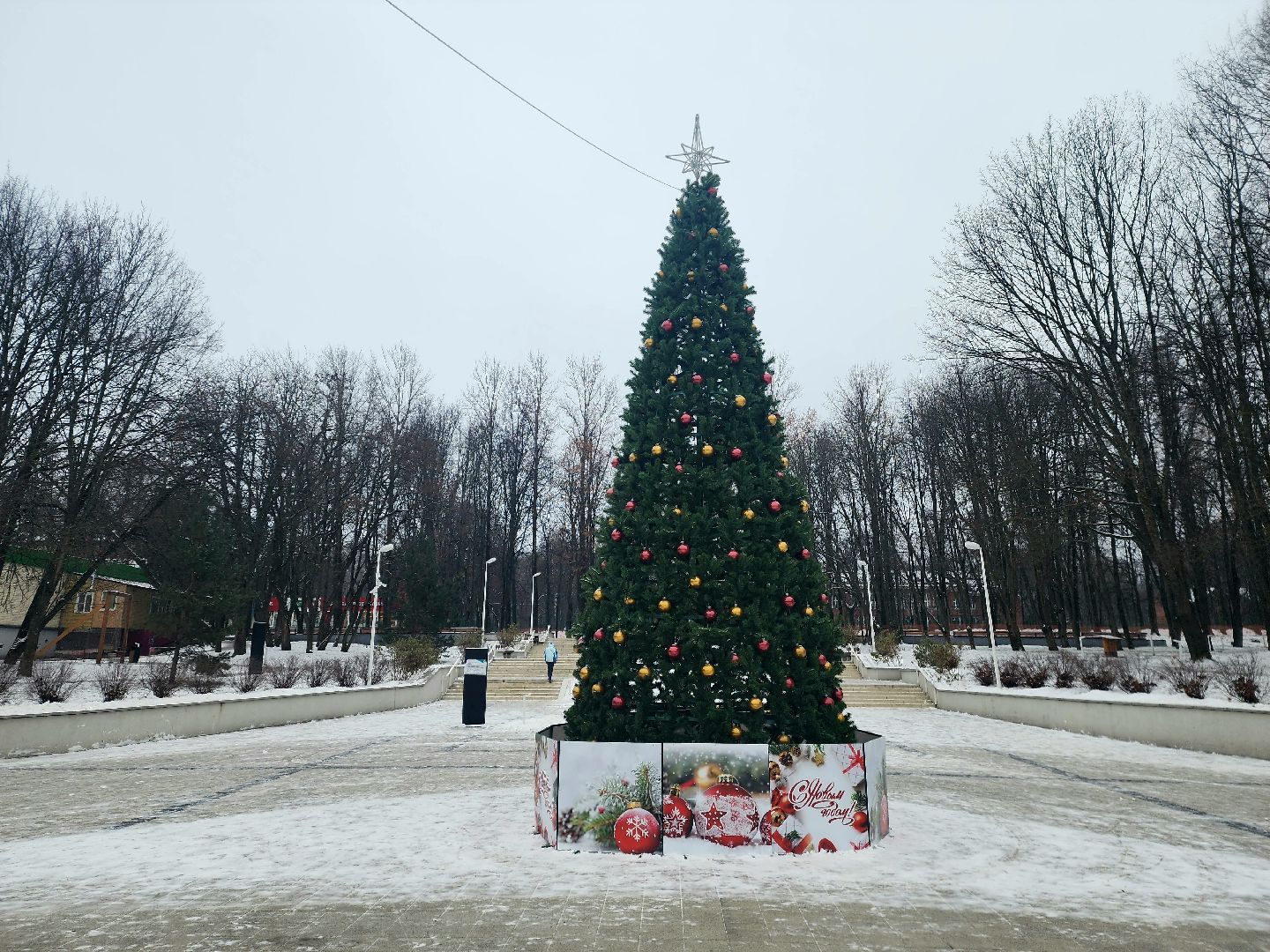 пущино, серпухов, новый год, ёлка, вертикалки,