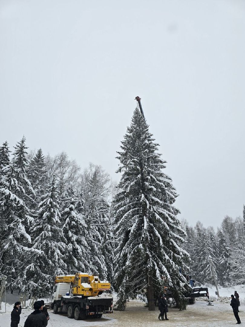можайск, можайский городской округ, подмосковье, новый год, кремлевская елка, главное дерево страны, елька, соборная площадь, праздник, новогодние праздники, вертикалки,