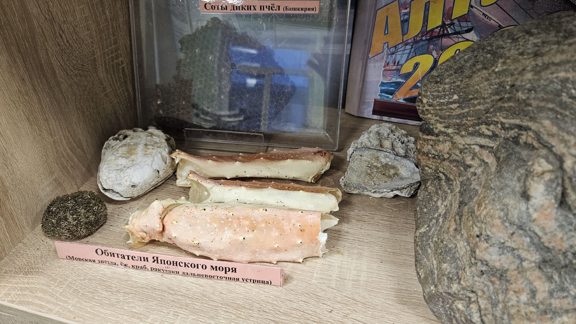 Эко-волонтеры, Туризм, заповедник, Геология,