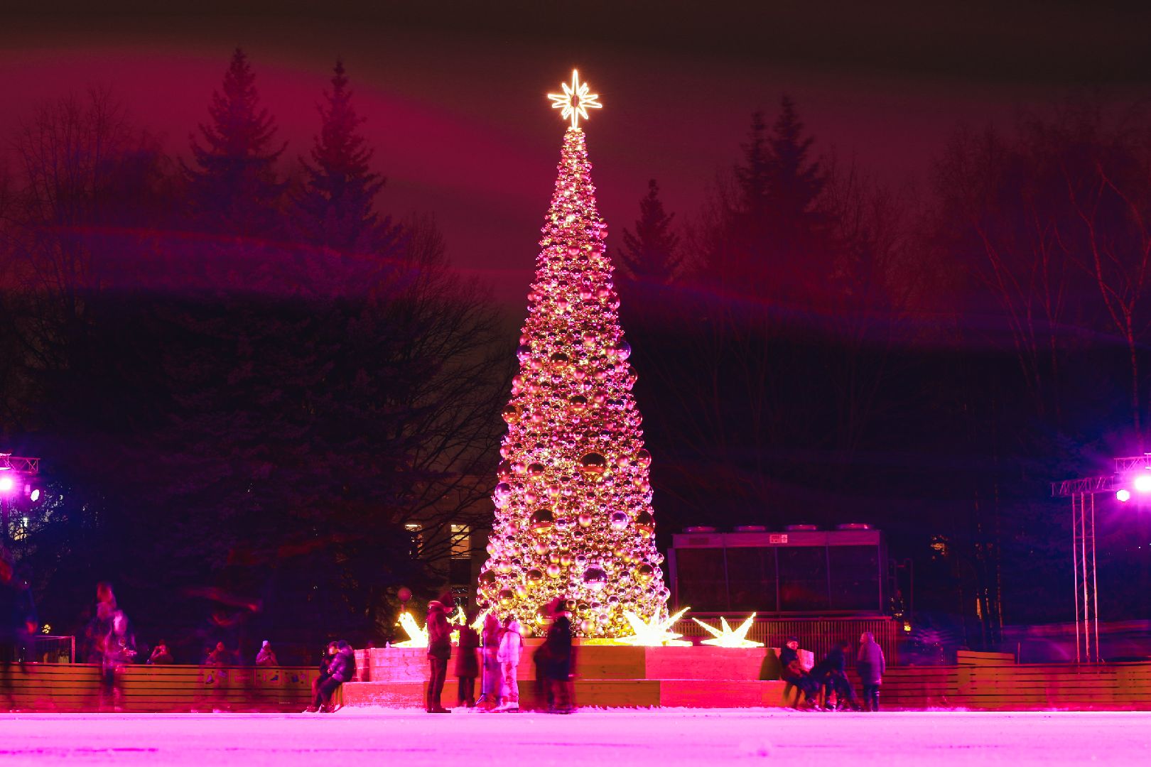 каток, коньки, лед, массовое катание, вертикалки,