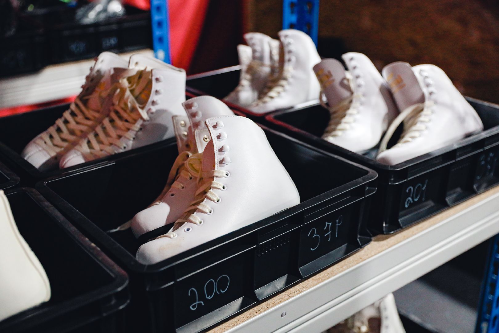 каток, коньки, лед, массовое катание, вертикалки,