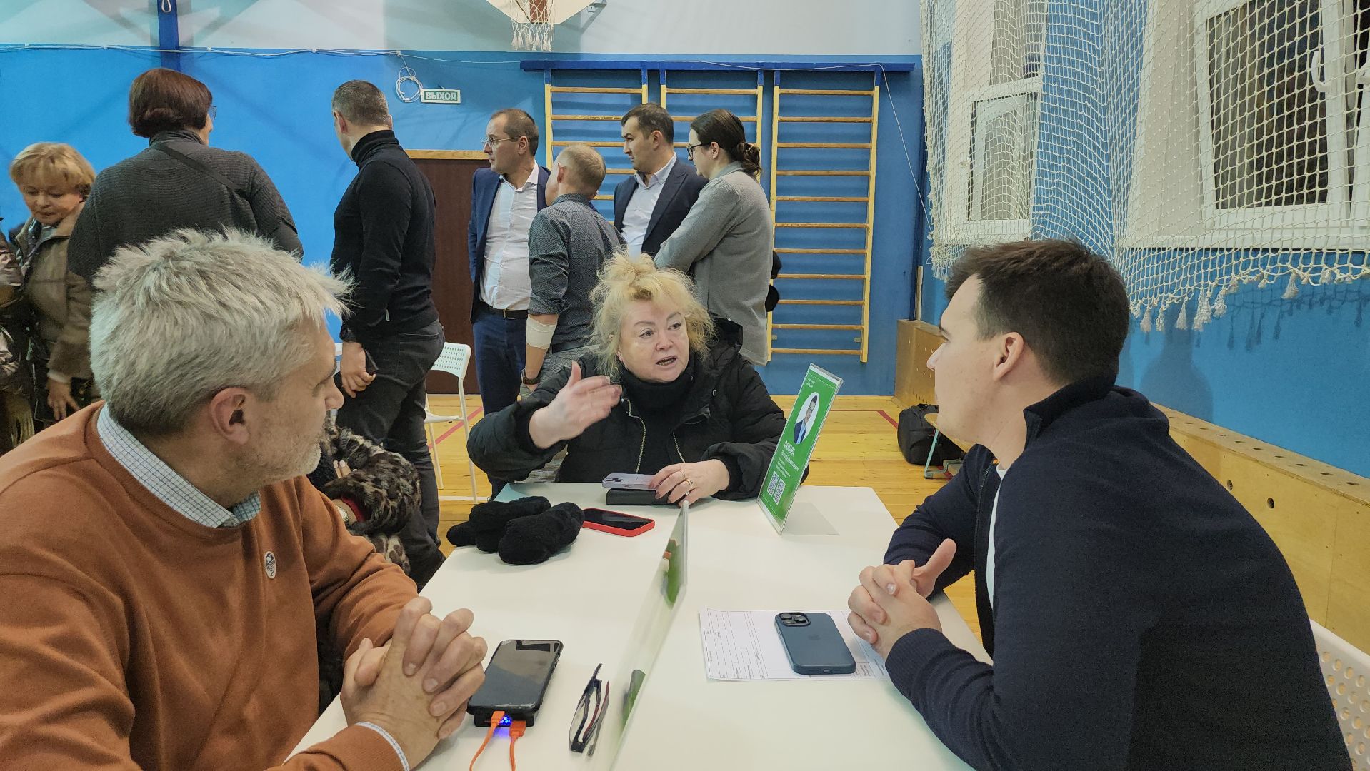 люберцы, выездная администрация, санитарная обрезка деревьев, вертикалка,