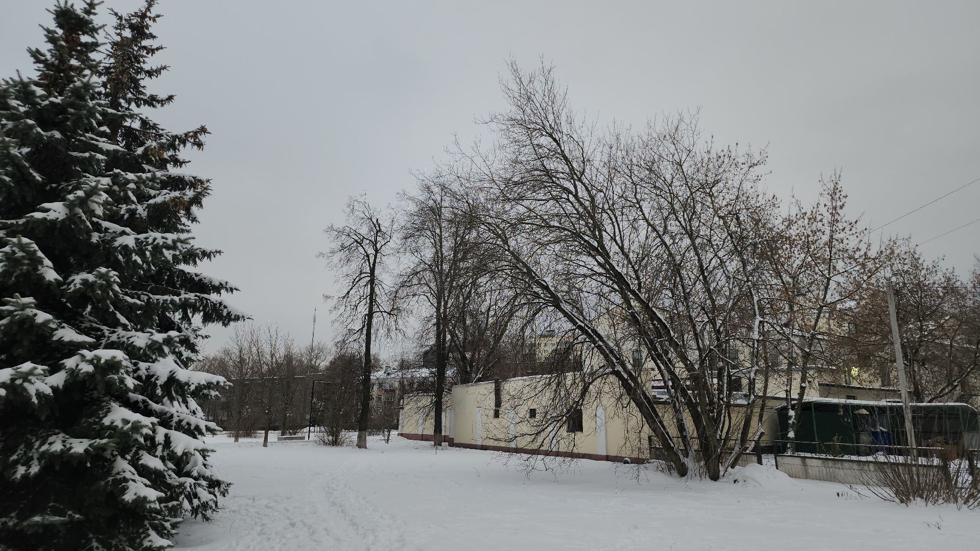 люберцы, выездная администрация, санитарная обрезка деревьев, вертикалка,