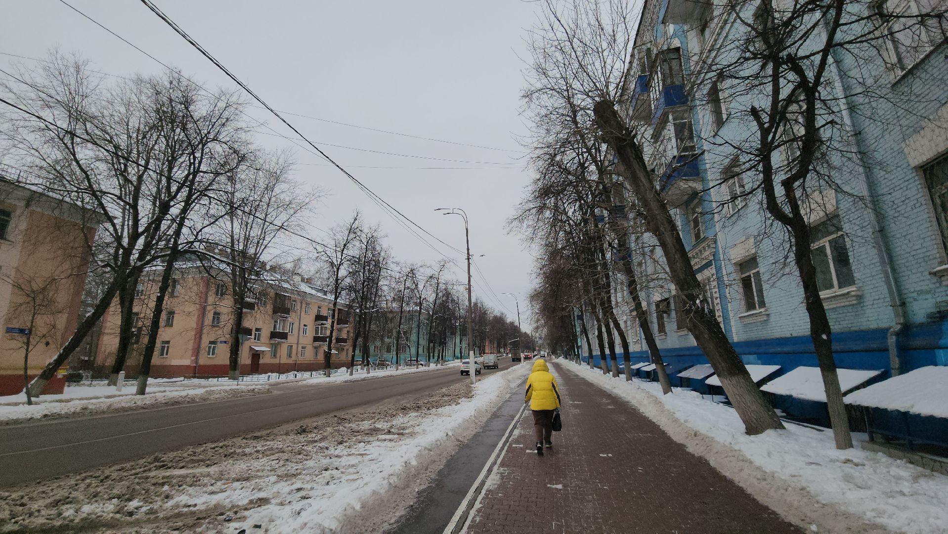 люберцы, выездная администрация, санитарная обрезка деревьев, вертикалка,