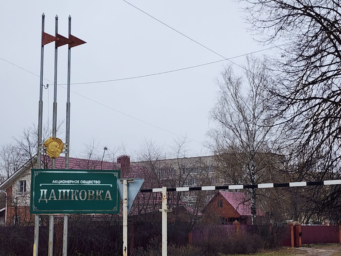 серпухов, ао дашковка, сельское хозяйство, овощная база, капуста,