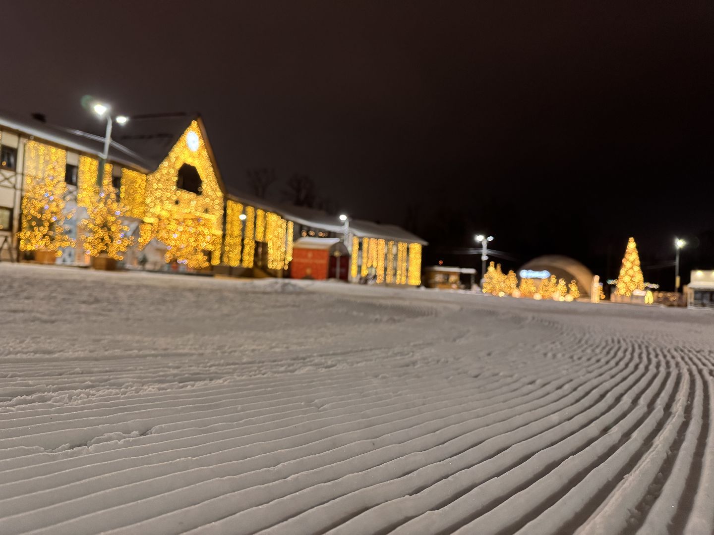 Одинцовский парк, Лыжный сезон, трассы готовы,вертикалка, вертикальное видео,