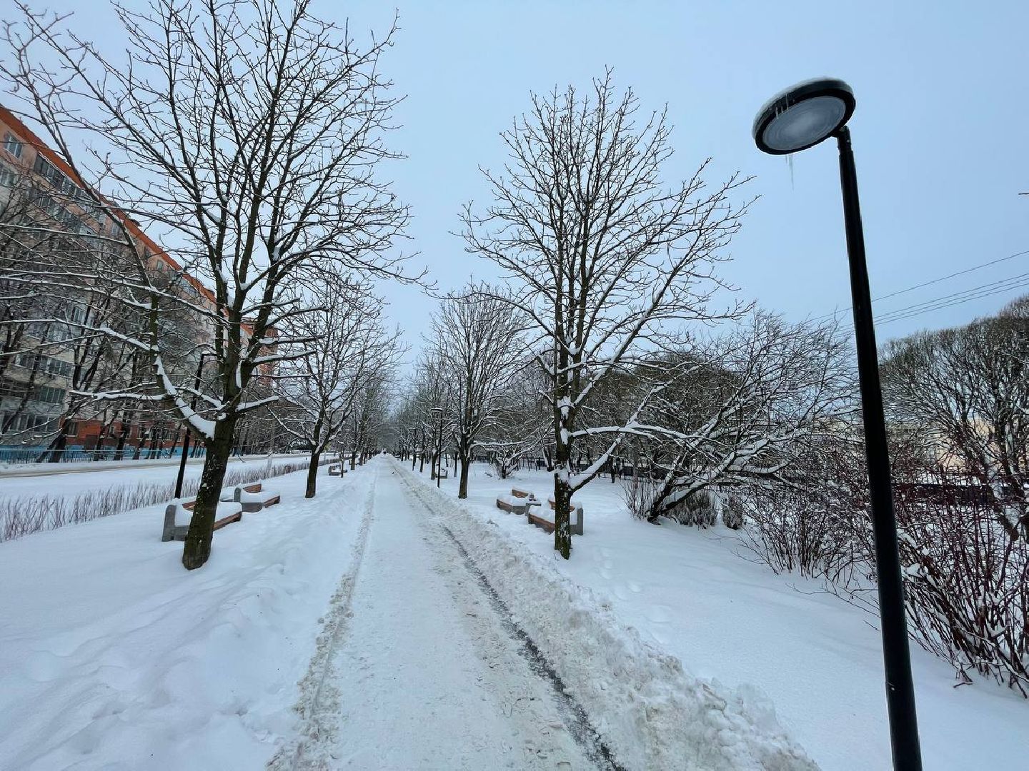 дмитров, аллея славы, минблаго, вертикалки,