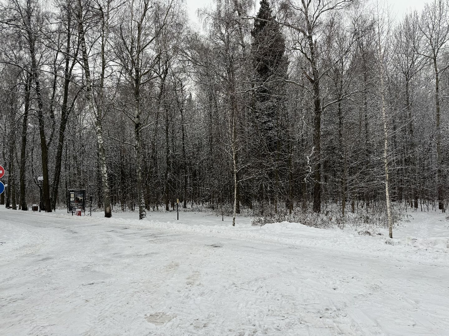 Кинологическая площадка, музей-заповедник горки ленинские, площадка для собак, четвероногий друг, Компания Четыре лапы,