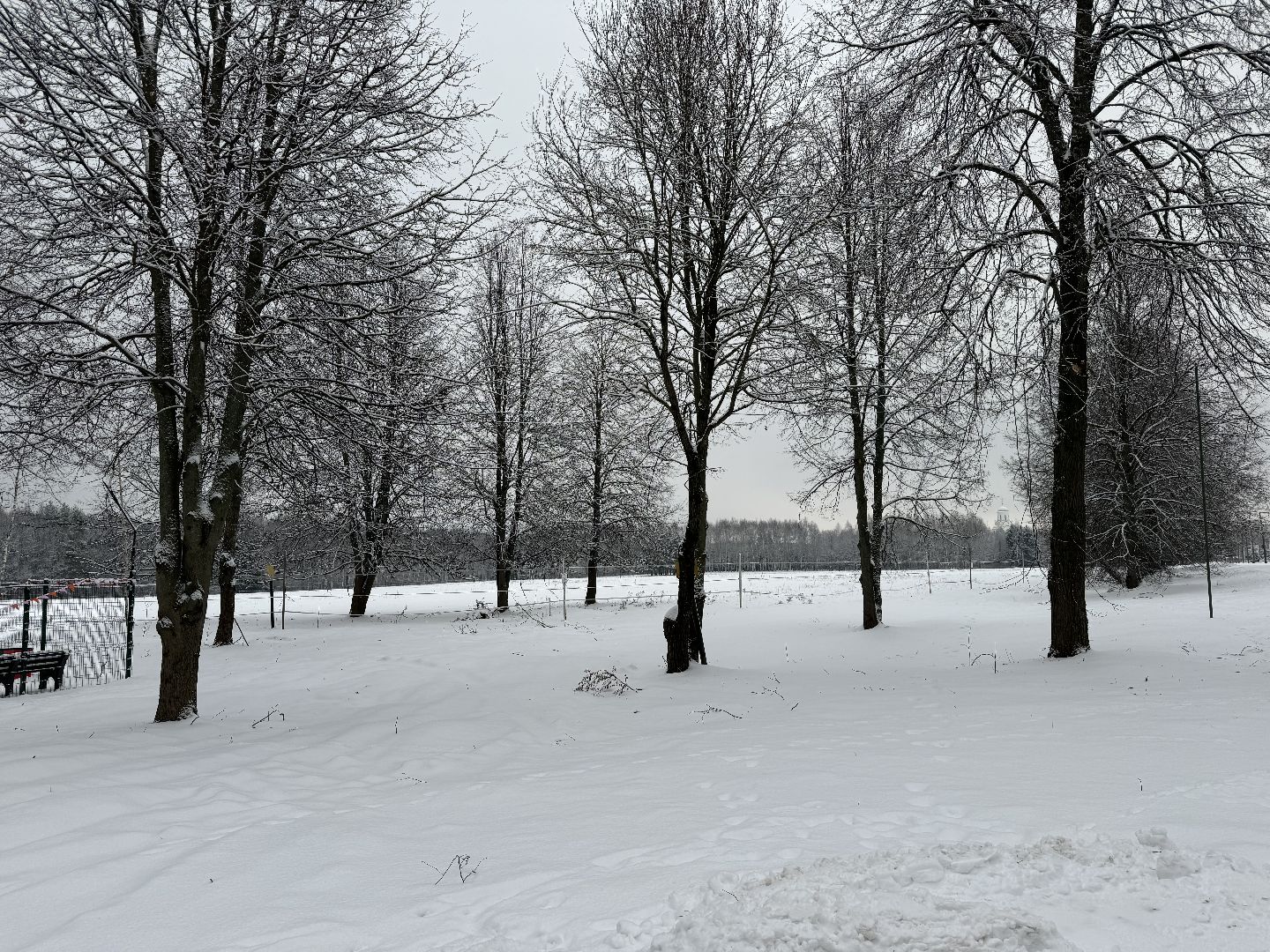 Кинологическая площадка, музей-заповедник горки ленинские, площадка для собак, четвероногий друг, Компания Четыре лапы,