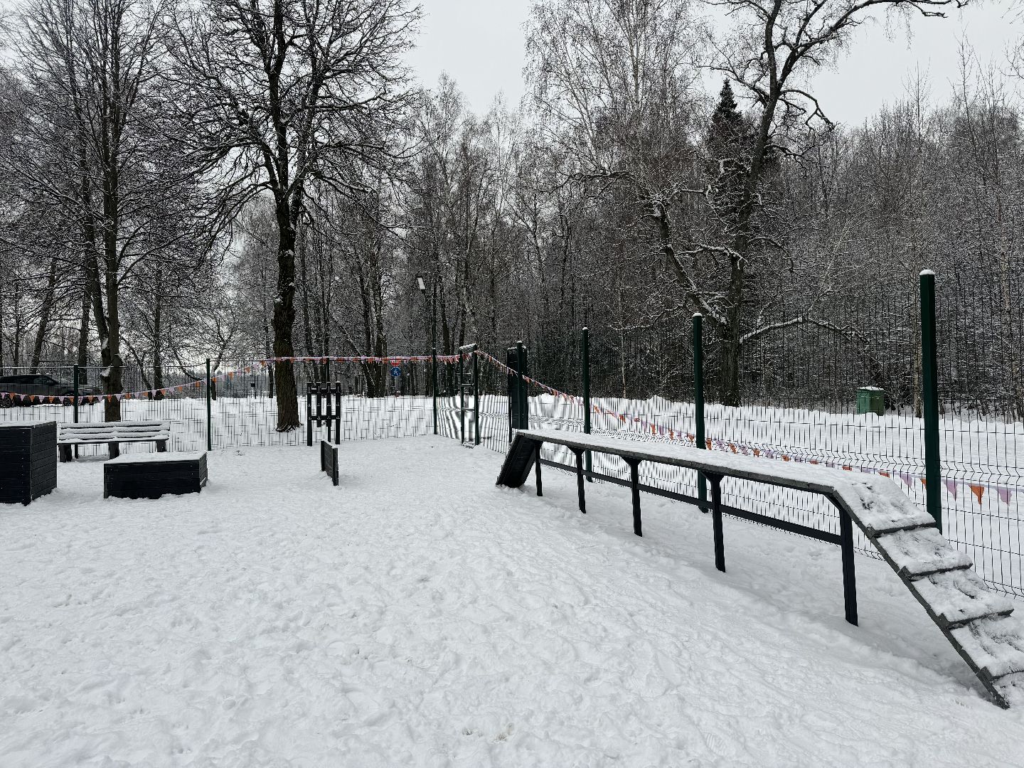 Кинологическая площадка, музей-заповедник горки ленинские, площадка для собак, четвероногий друг, Компания Четыре лапы,