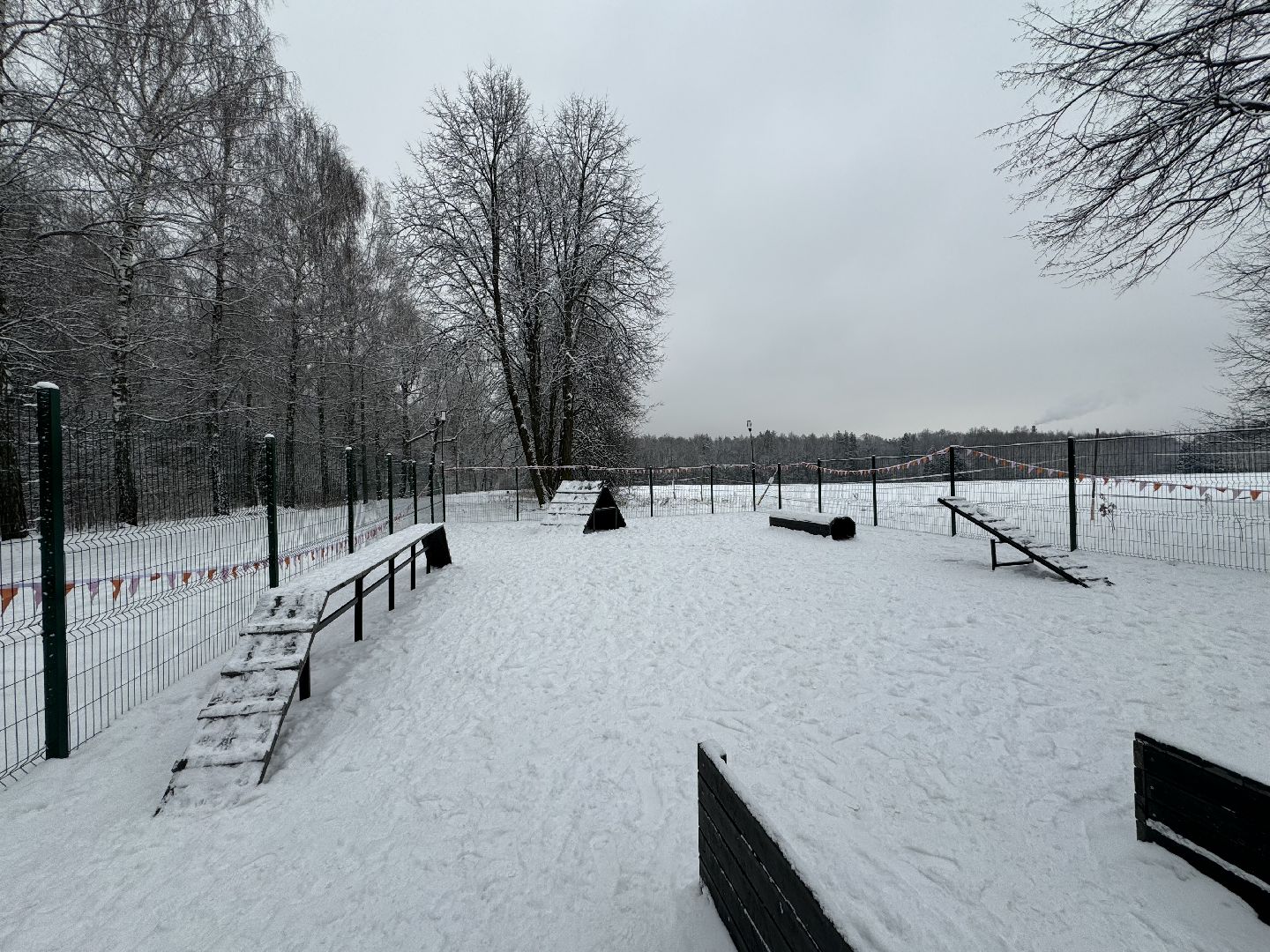 Кинологическая площадка, музей-заповедник горки ленинские, площадка для собак, четвероногий друг, Компания Четыре лапы,