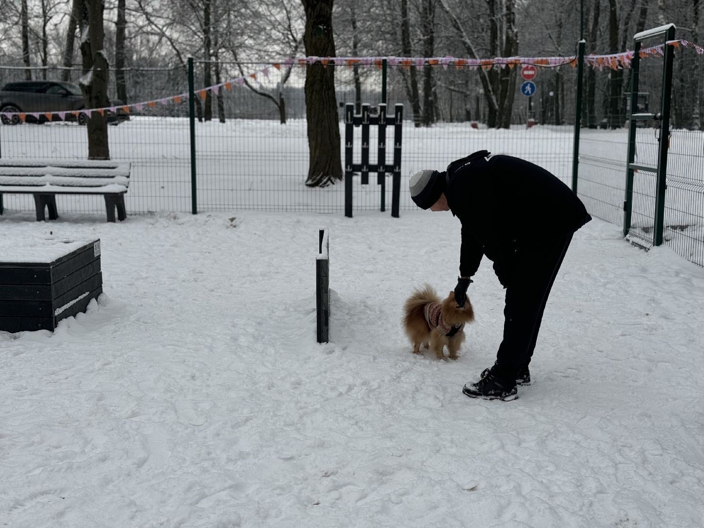 Кинологическая площадка, музей-заповедник горки ленинские, площадка для собак, четвероногий друг, Компания Четыре лапы,