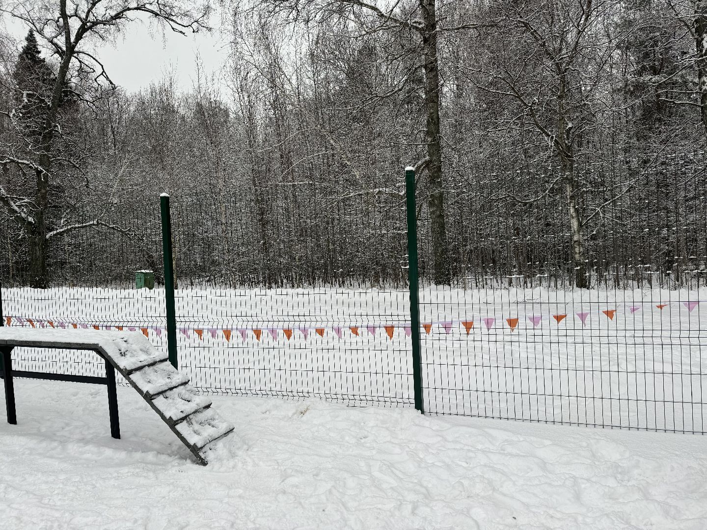 Кинологическая площадка, музей-заповедник горки ленинские, площадка для собак, четвероногий друг, Компания Четыре лапы,