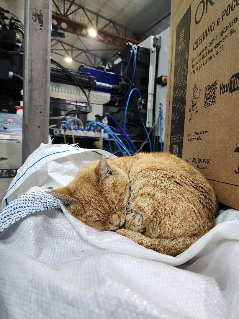 импортозамещение, новые рабочие места, экономика, руза, рузский городской округ, московская область, подмосковье,вертикалки,