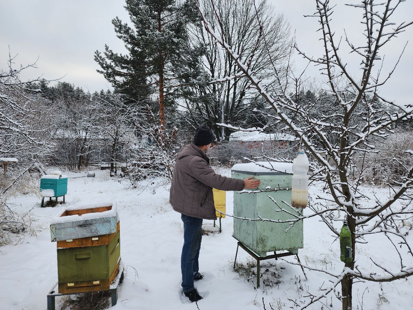 шатура, мёд, дети, зима, общество, Обшество дети,
