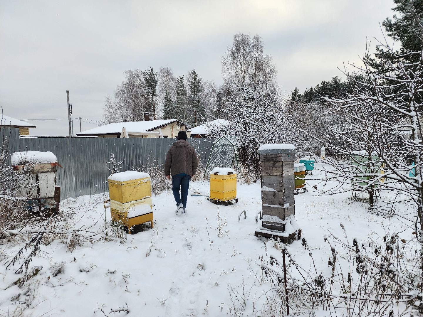 шатура, мёд, дети, зима, общество, Обшество дети,