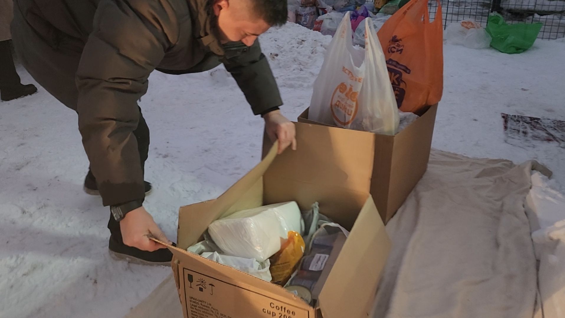 приют для животных, собаки, помощь,