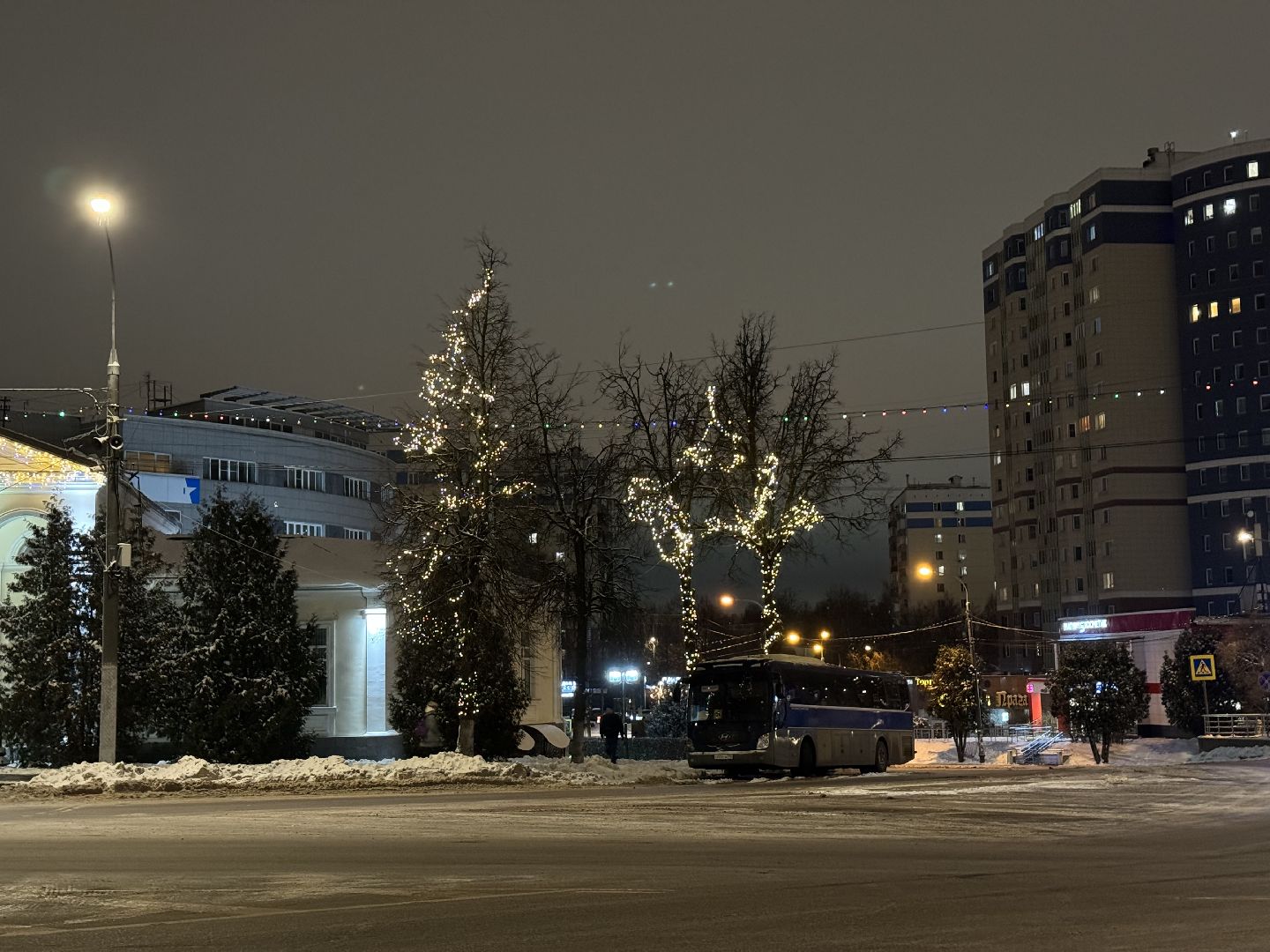 новогоднее оформление, новогодние елки, иллюминация, зима в подмомсковье, зима в парках, Город видное, вертикалки
