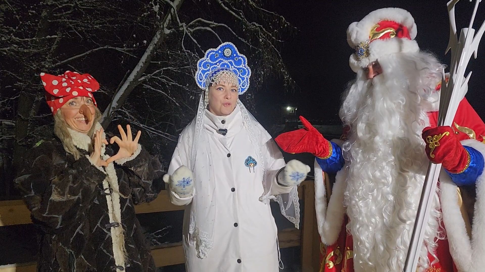 Бронницы, Раменское, Бронницкий Терем Деда Мороза, Новогодняя программа для детей, В гостях у Деда Мороза, Вертикалка, Вертикальное видео,