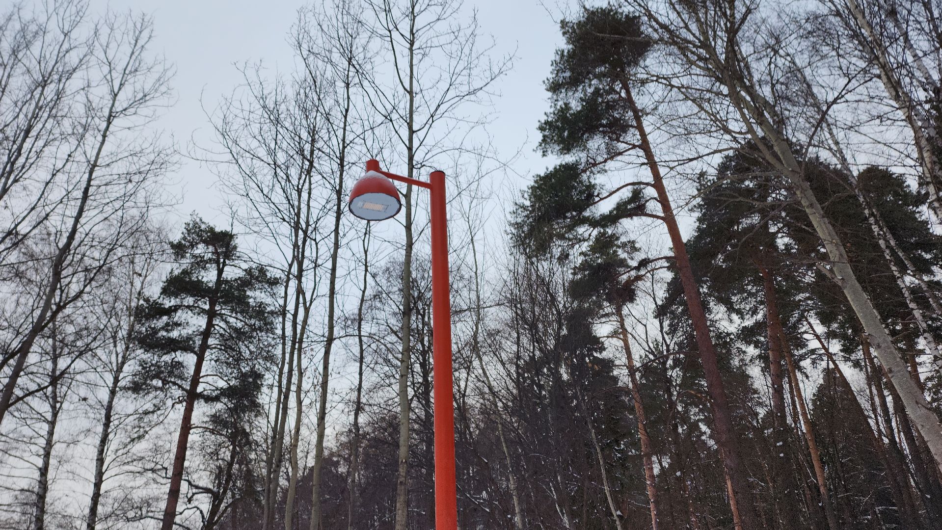 встреча администрации с жителями, лес, парк, лесопарк, кучино, кучинский лесопарк, строительство, благоустройство, благоустройство лесопарка, выездная администрация,