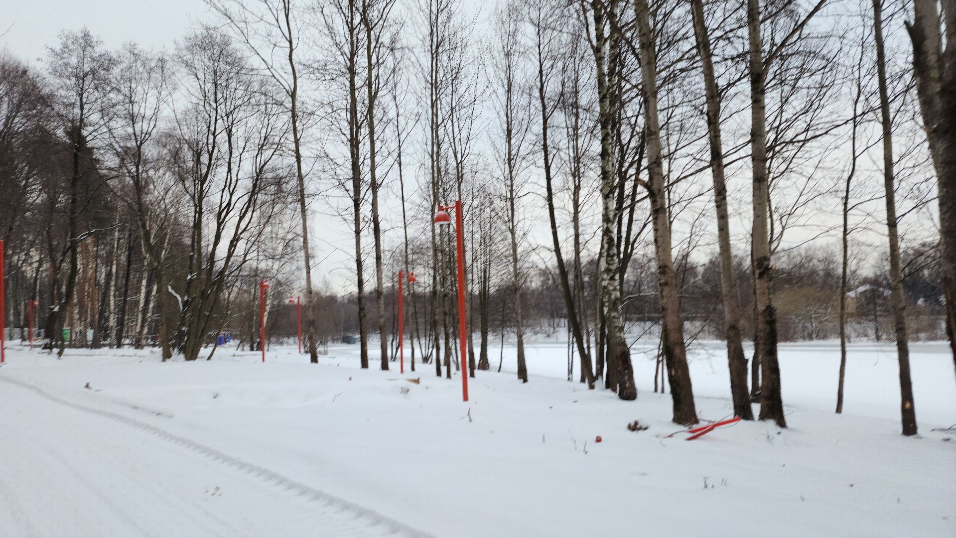 встреча администрации с жителями, лес, парк, лесопарк, кучино, кучинский лесопарк, строительство, благоустройство, благоустройство лесопарка, выездная администрация,